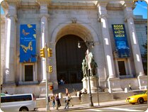 American Museum of Natural History American Museum of Natural History