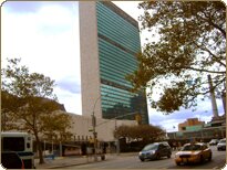 United Nations United Nations